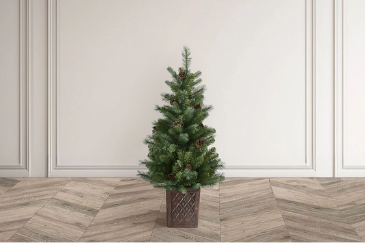 HAZLENUT PINE 4ft Potted Christmas Tree