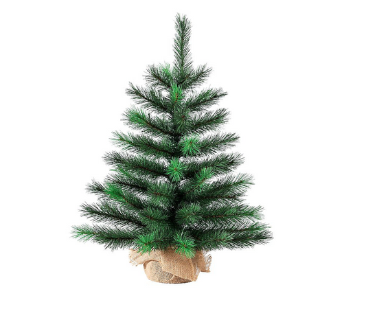 BRISTLE PINE 2ft Christmas Tree in Burlap